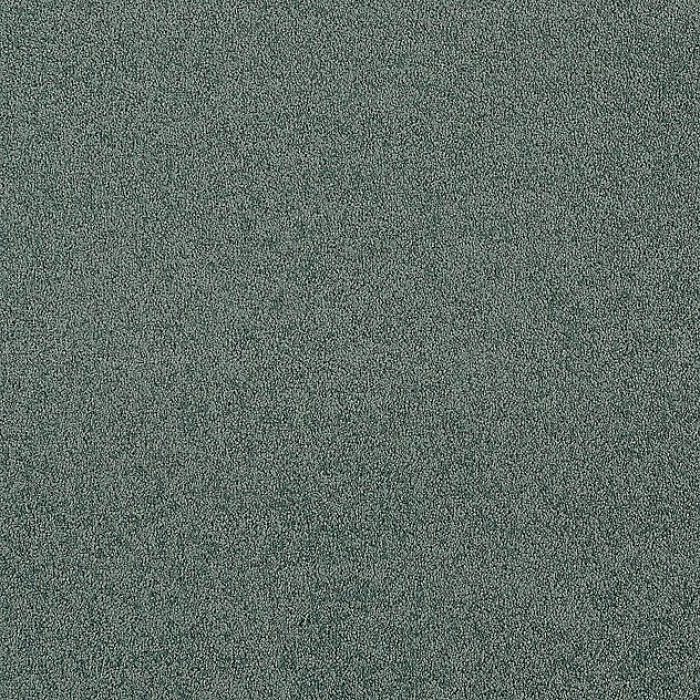 Cashmere - 441